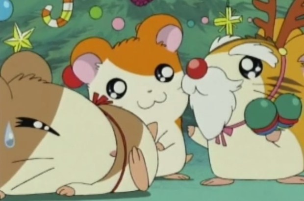 hamtaro