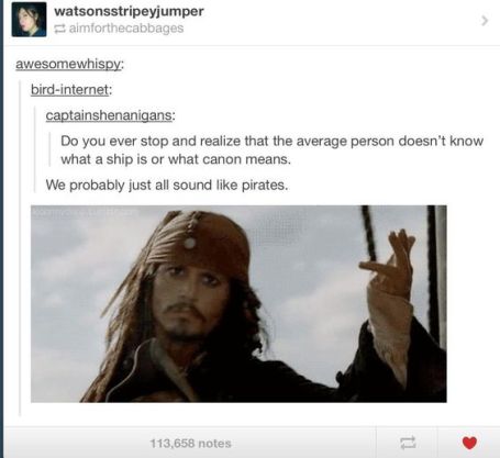 Ships and canons -- pirates or fanfics?