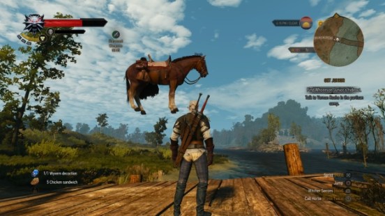 Witcher 3 glitch