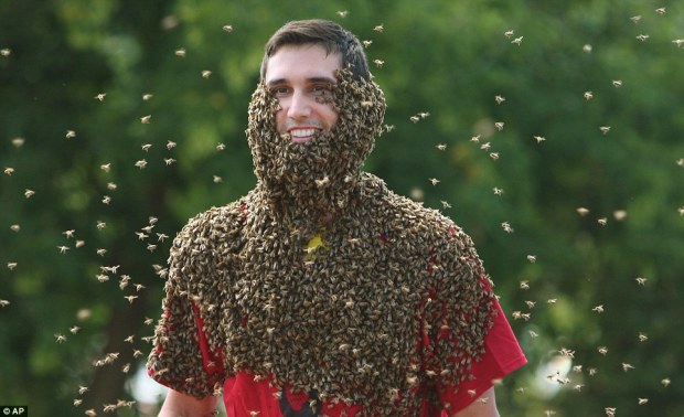 Bee Suit