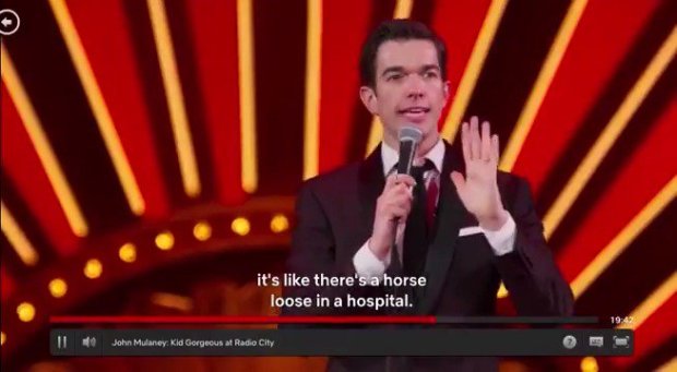John Mulaney Horse Loose In The Hospital