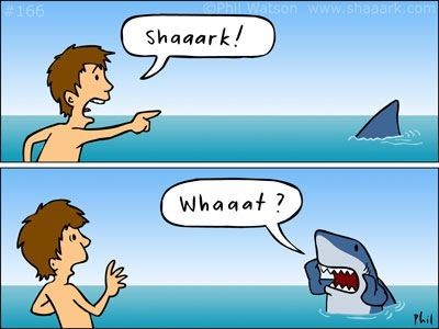 SHARK