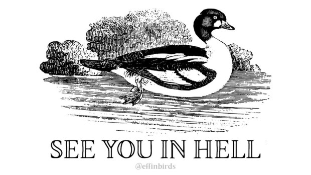 Effin Birds See You In Hell