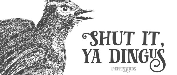 Effin Birds Shut It Ya Dingus